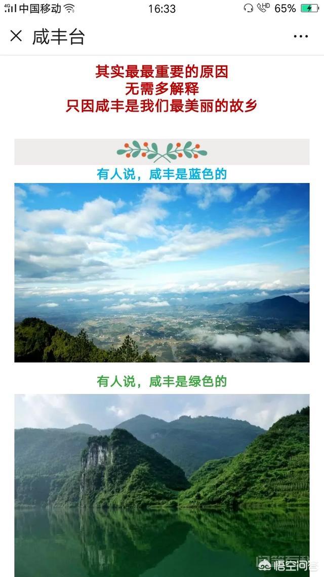 草原上能否植树造林?-图片3