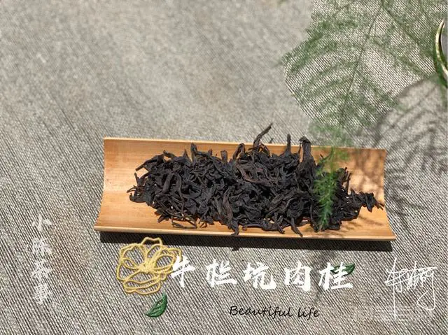 如何描述岩茶、红茶、铁观音?-图片1