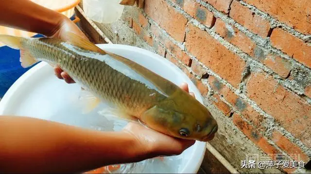 疫情还没结束,你现在感觉怎么样?-图片2