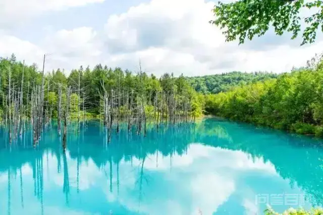 为什么北海道比较有人气,吸引人去旅游?-图片2