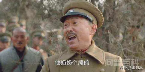 “大炮开兮轰他娘”的狗肉将军张宗昌是怎样的一个人?-图片6