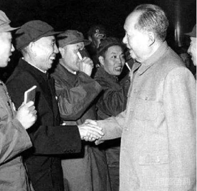 新疆为什么会种那么多棉花?-图片1