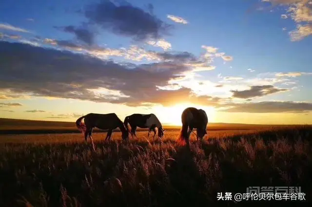 很想去便宜的地方旅游,旅游淡季和旺季哪些地方价格差别最大?-图片7