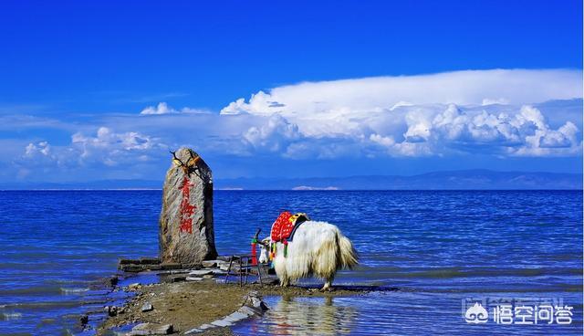中国境内面积最大的湖泊是哪一个?-图片3