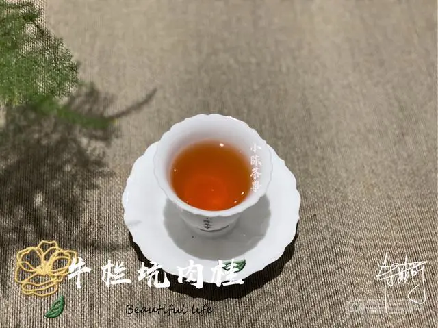 如何描述岩茶、红茶、铁观音?-图片2