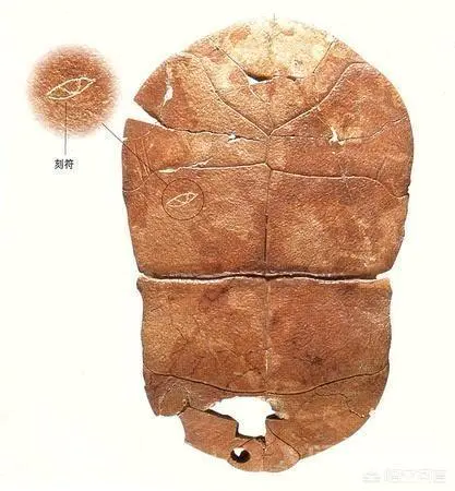 中国历史上最早的朝代是哪个?有何依据?-图片1