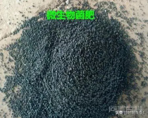 庄稼一枝花,全靠肥当家!最好肥料有哪些?-图片4