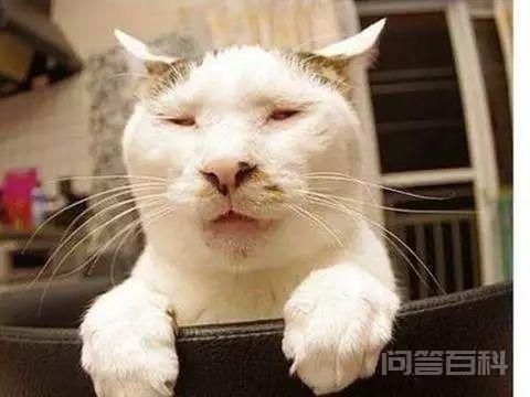 荆轲刺秦王换项羽刺秦王结局如何?
