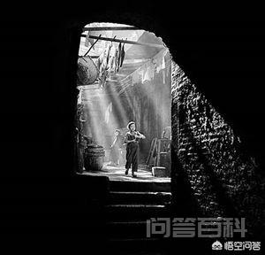 什么叫格式塔?如何运用格式塔原理创作摄影作品?-图片4