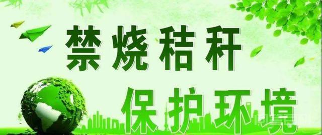 黑龙江全面禁止焚烧秸秆,那地里的秸秆该如何处理?-图片1