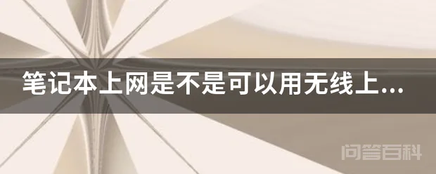 笔记本上网是不是可以用无线上网卡?谁能给我介绍下吗?