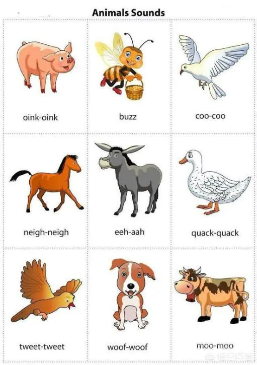 “Moo”是什么意思?-图片2