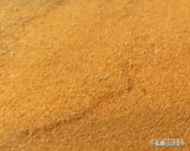 农村全身金粉的海金沙草有什么用?-图片1