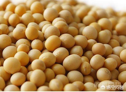 国内的大豆产区在哪里,种植的都是本国品种吗?-图片3