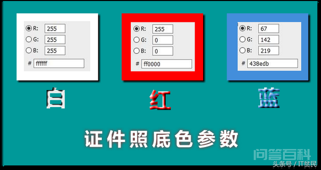 证件照的具体尺寸和颜色你知道吗?-图片2