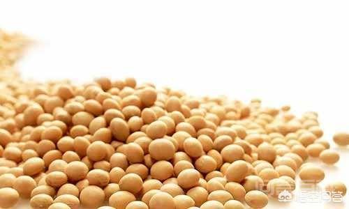 国内的大豆产区在哪里,种植的都是本国品种吗?-图片4