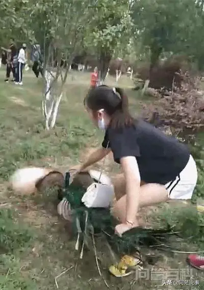 女子强抱孔雀拍照,还拔羽毛给孩子玩,孔雀惨叫连连,你有何看法?-图片1