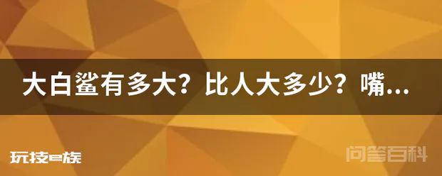大白鲨有多大?比人大多少?嘴的面积多大