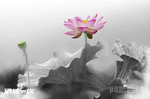追寻宇宙人生来龙去脉
活出自在明白真我风彩-图片2