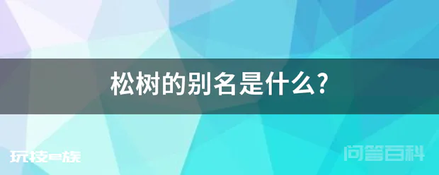 松树的别名是什么?-图片1