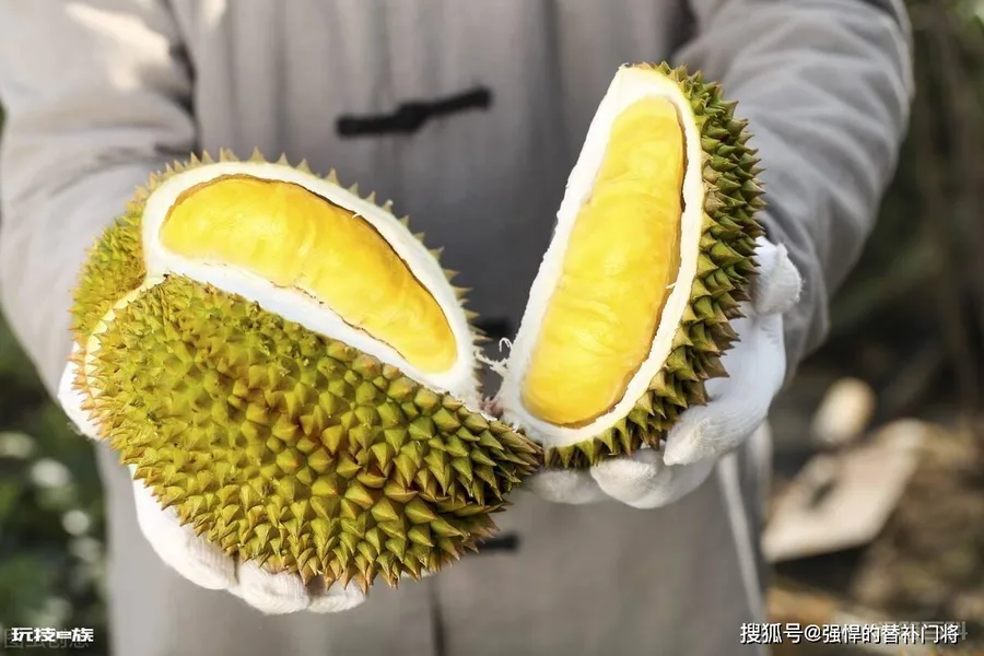 小鸡宝宝考考你:猕猴桃和榴莲哪种水果的原产地是中国?蚂蚁庄园答案-图片4