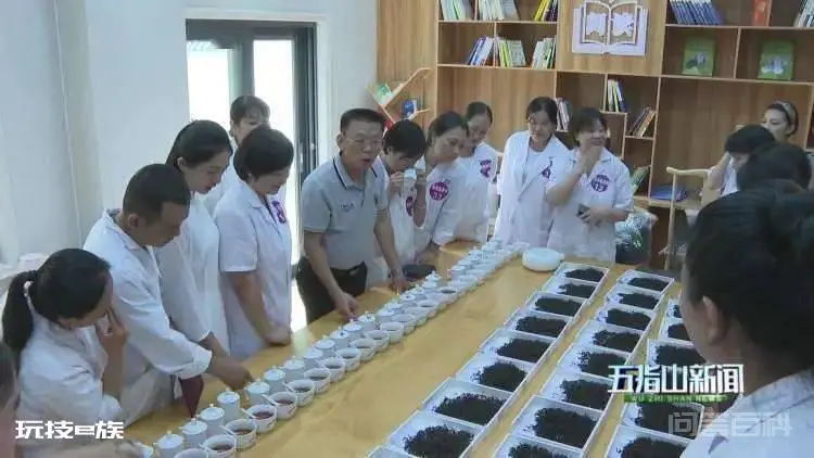 海南省首届中级制茶师培训班结业典礼在五指山举行-图片2