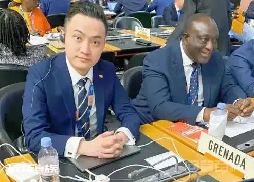 孙宇晨代表格林纳达参加世界贸易组织(WTO)第12届部长级会议-图片3