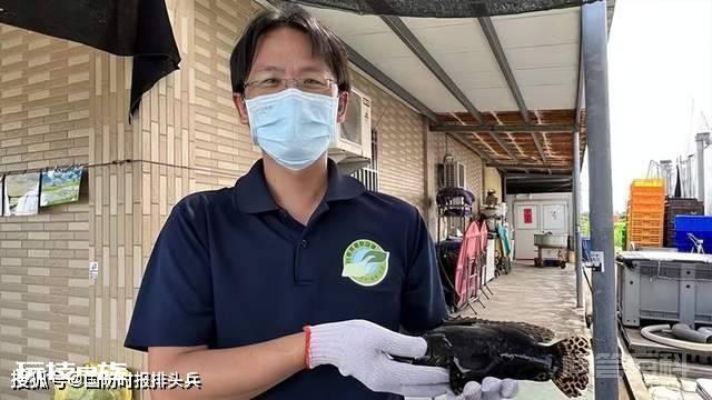 台湾石斑鱼检出新冠病毒,大陆封禁,台大喊“政治打压”,回旋镖打脸太快-图片2