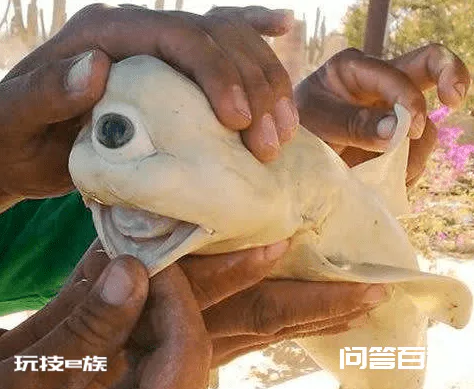 日本正式批准核污水排海计划,核污染会给我们带来哪些影响?-图片3