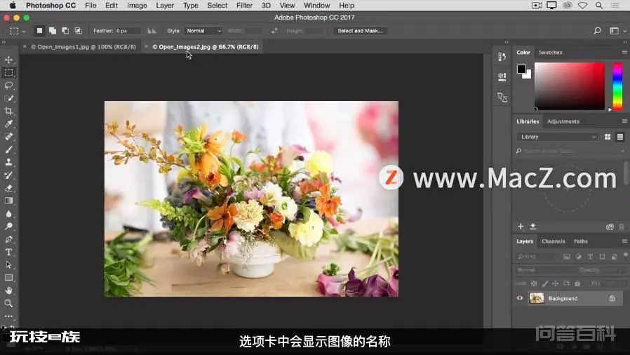 Photoshop 入门教程「1」如何在Mac版 Photoshop 中打开图像?-图片5