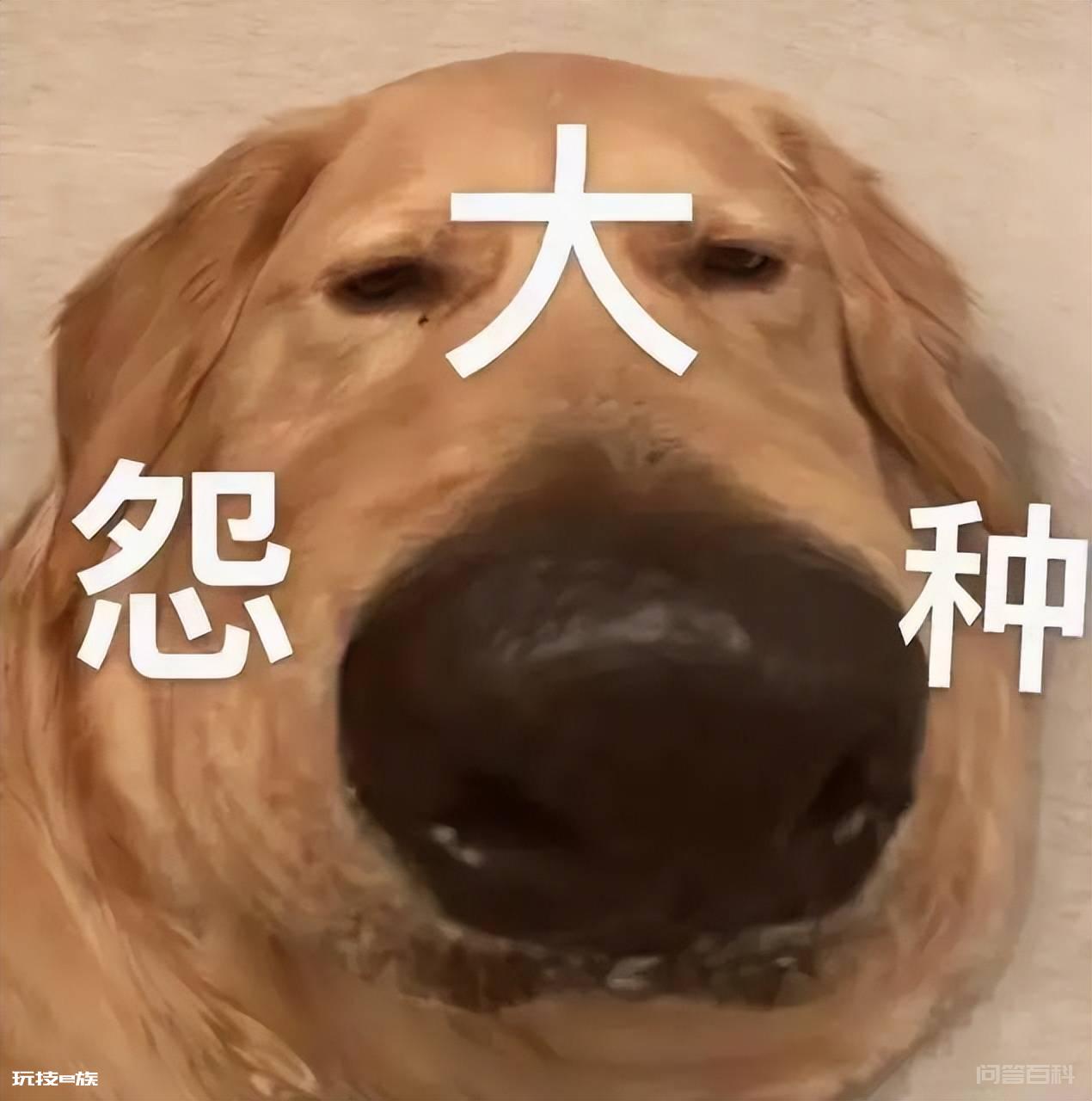 FC三国志英杰传,因为当年刘璋的牢门撞不开,于是我练了个满级号-图片12
