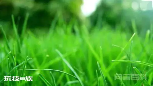 一切若只如初见-图片1