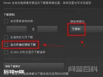 steam下载速度慢卡顿断断续续的解决办法-图片6