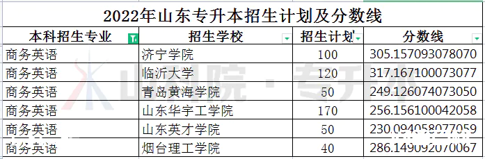 山东专升本考试专业分析——商务英语专业