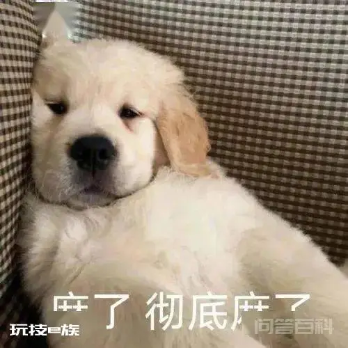 破防了,husband还能这样用?-图片2