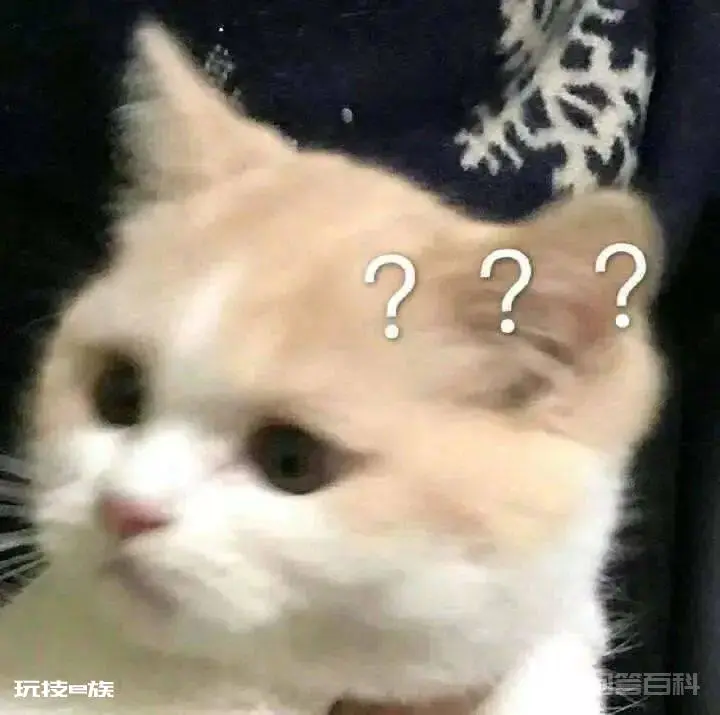 破防了,husband还能这样用?-图片3
