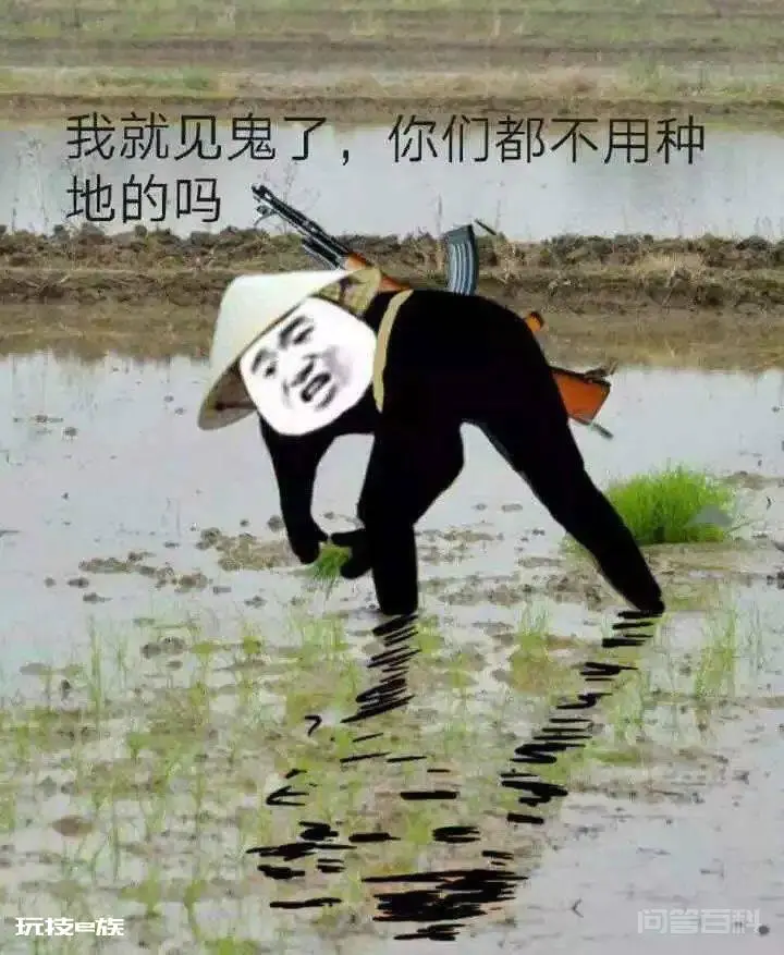 破防了,husband还能这样用?-图片10