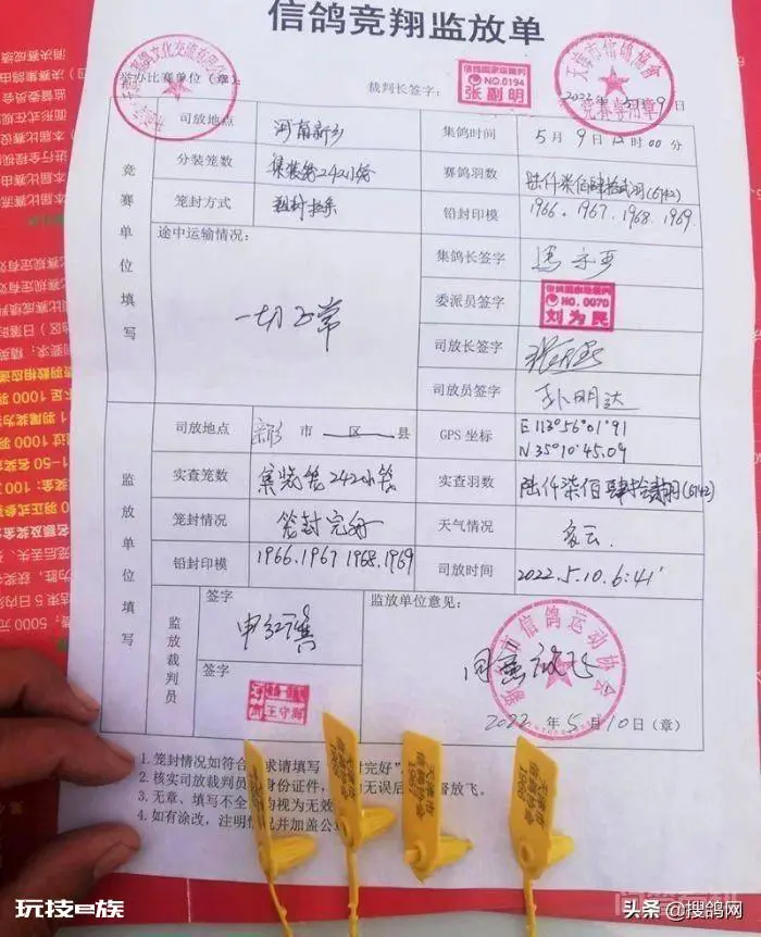 「资讯」天津开创第一关6742羽精英开战-图片1