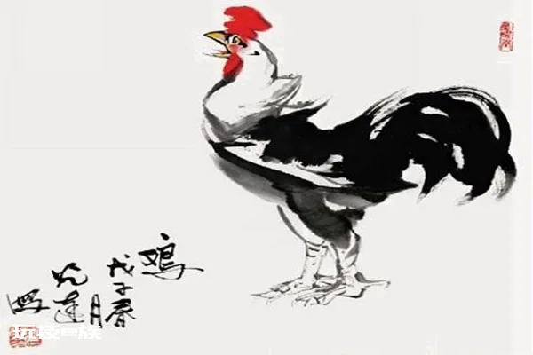 2019年大红大紫的生肖