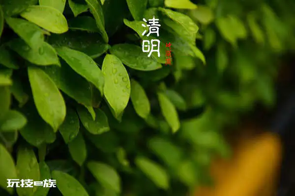 清明节前后能够策马奔腾走上康庄大道的四大生肖