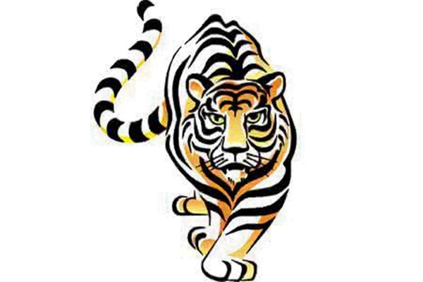2019(猪年)年下半年生肖虎运程男命篇