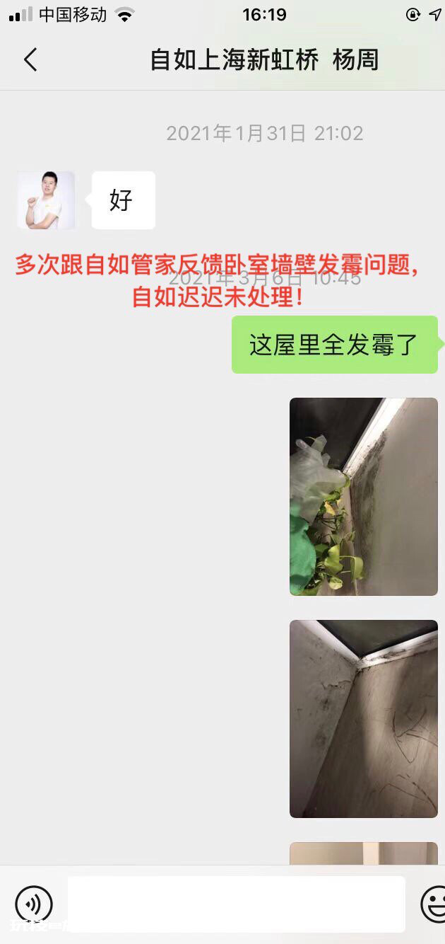 自如租房卧室严重发霉导致呼吸系统感染-图片4