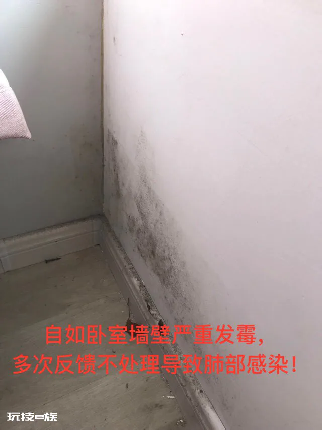 自如租房卧室严重发霉导致呼吸系统感染-图片5