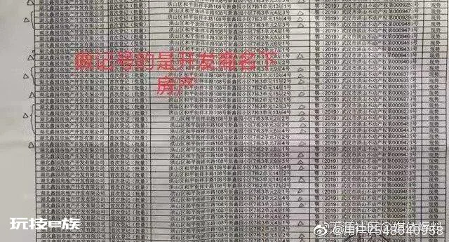 实名举报:洪山法院法官彭芳执法违法,包庇被告逃避债务!-图片4