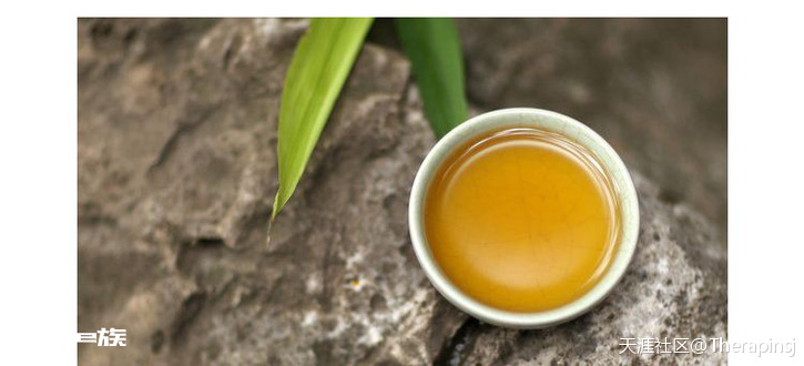茶人的最后一站是永年熟普洱-图片2
