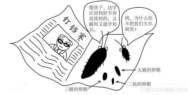 家里有蟑螂怎么办?装修前后消灭蟑螂大全!-图片3