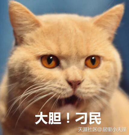 家里有蟑螂怎么办?装修前后消灭蟑螂大全!-图片6