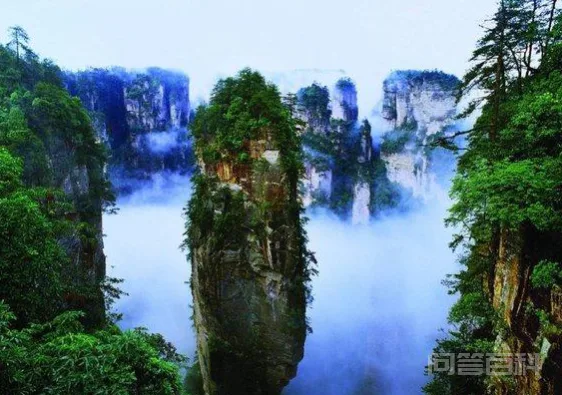 阿凡达取景地