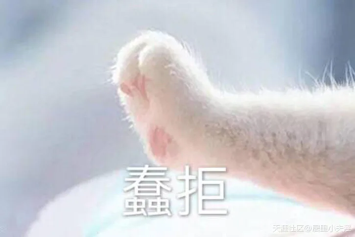 家里有蟑螂怎么办?装修前后消灭蟑螂大全!-图片7