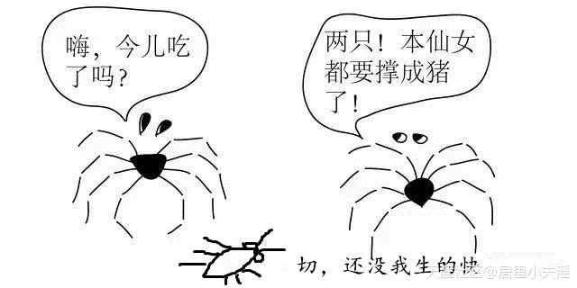 家里有蟑螂怎么办?装修前后消灭蟑螂大全!-图片5